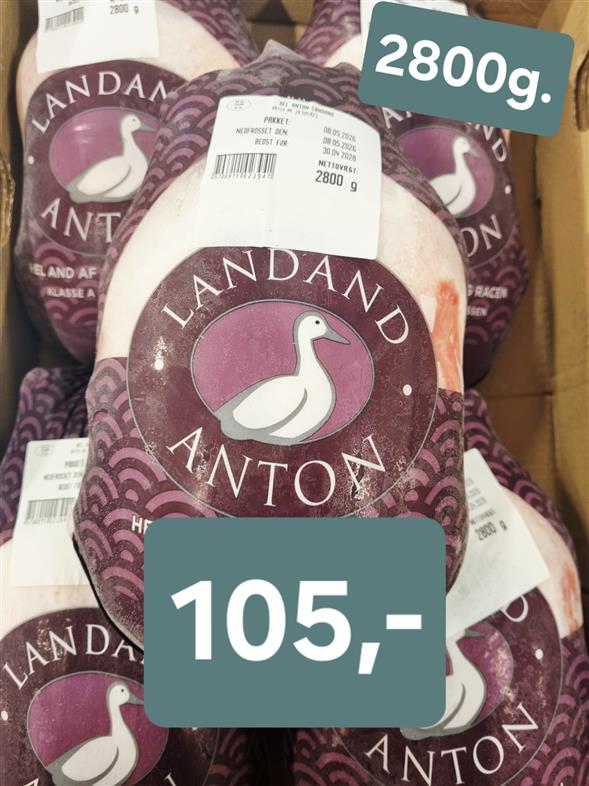 Anton HEL And 2800g.